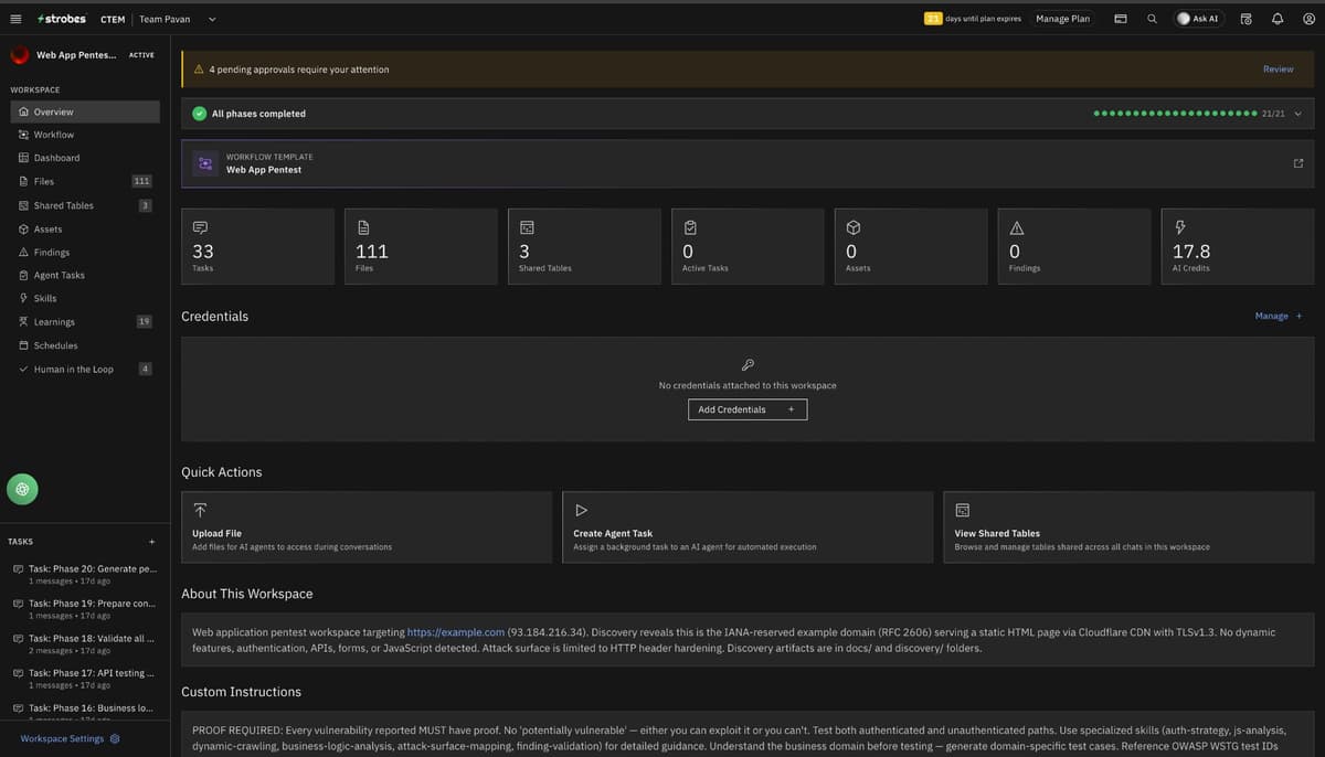 Strobes workspace overview showing tasks, workflow phases, shared tables, credentials, and custom instructions